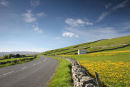 06-5031 Wild Flower Meadow and B6277 Upper Teesdale